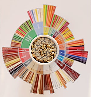 Specialty coffee concept. Raw green coffee beans in white cup on taster`s flavor wheel. Top view