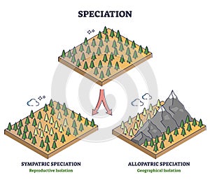 Speciation process with sympatric and allopatric division outline diagram