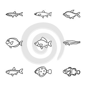 Species of fish icons set, outline style