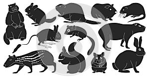 Species of rodents vector black set icon. Isolated black set icon gnawer.Vector illustration species of rodents on white