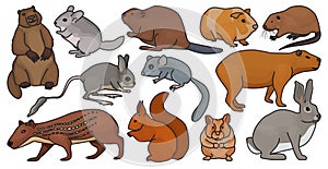 Species of rodents vector color set icon. Isolated color set icon gnawer.Vector illustration species of rodents on white