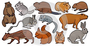 Species of rodents vector color set icon. Isolated color set icon gnawer.Vector illustration species of rodents on white photo