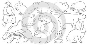 Species of rodents vector outline set icon. Isolated outline set icon gnawer.Vector illustration species of rodents on white