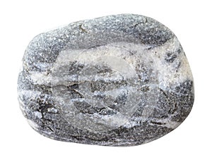 Specimen of greywacke stone isolated