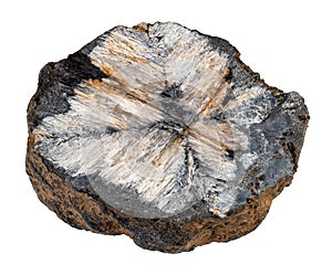 specimen of natural raw chiastolite rock cutout