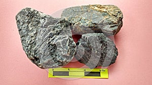 Speciment Phyllite of metamorphic rock on Melange complex photo