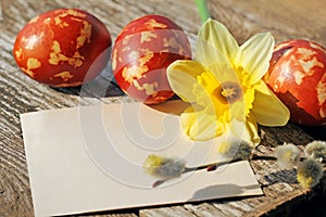 Speckled Easter Eggs, Blank Card and Narcissus Flower