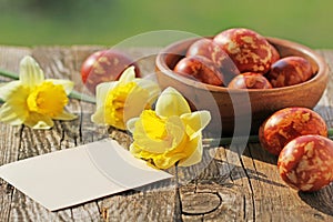 Speckled Easter Eggs, Blank Card and Narcissus Flowerss