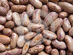 Speckled kidney beans