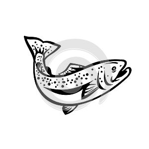 Speckled Trout Spotted Seatrout or Cynoscion Nebulosus Jumping Up Retro Black and White