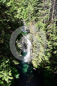 The spectacle waterfall view from suspension bridge in Lynn canyon park,