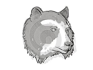 Spectacled Bear Endangered Wildlife Cartoon Retro Drawing photo