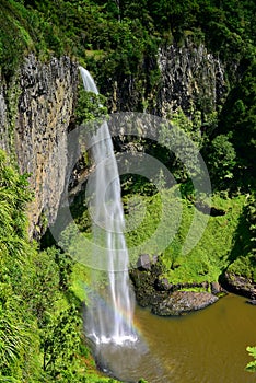 Spectacular 55m Bridal Veil Falls in the Waireinga Scenic Reserve in New Zealand