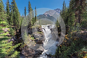 Spectacular Athabasca Falls in Jasper National Park, Alberta, Canada.