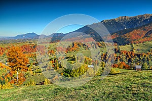 Spectacular autumn rural landscape near Bran,Transylvania,Romania,Europe