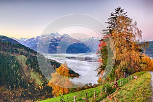 Spectacular autumn view of lake meadows trees and mountains in Sell Am See