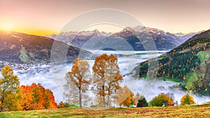 Spectacular autumn view of lake meadows trees and mountains in Sell Am See