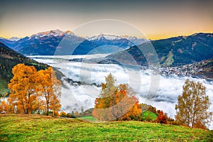 Spectacular autumn view of lake meadows trees and mountains in Sell Am See