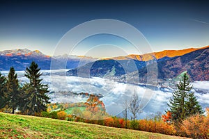 Spectacular autumn view of lake meadows trees and mountains in Sell Am See