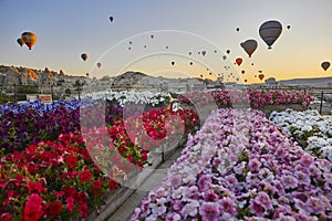 Spectacular balloons flying at sunrise in Goreme. Turism Cappadocia, Turkey