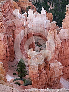 Bryce Canyon Hoodoos Closeup