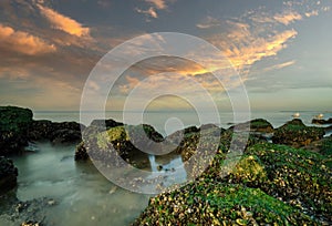 Spectacular colors of a sunset by the sea. Rocks with moss in the foreground, Two blurry gulls