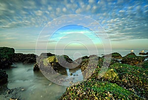 Spectacular colors of a sunset by the sea. Rocks with moss in the foreground, Two blurry gulls