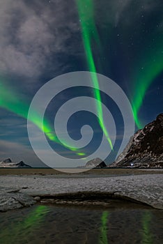 Spectacular dancing green strong northern lights over the famous round sand beach near Haukland on the Lofoten islands in Norway