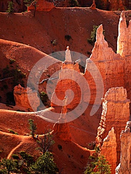 Bryce Canyon National Park, Scenic Attraction, Utah, USA