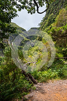 Spectacular double waterfall falling through jungle forest.