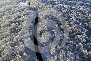 spectacular drone view with beautiful forest in winter