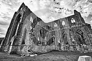 Spectacular facade of 12th century Tintern abbey, Wales