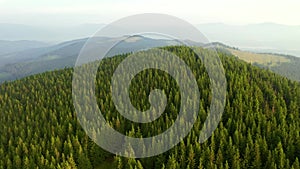 Spectacular footage of a wild mountains from a bird`s eye view. Carpathian National Nature Park, Ukraine