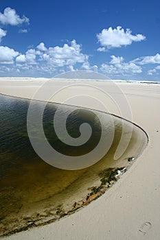 Spectacular Henty Sand Dunes Oasis