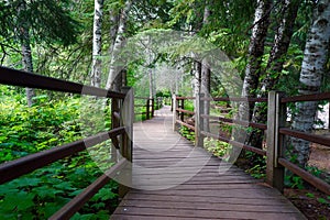 Spectacular Hiking Trails at Gooseberry Falls State Park