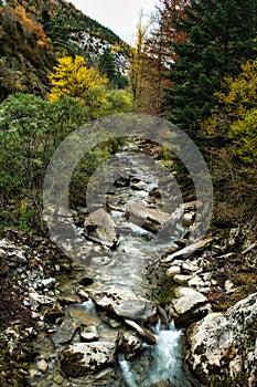 Spectacular landscape of autumn colors in Selva de Irati, Navarre, Spain