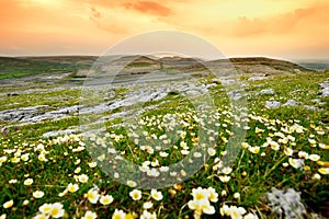 Spectacular landscape of the Burren region of County Clare, Ireland. Exposed karst limestone bedrock at the Burren National Park