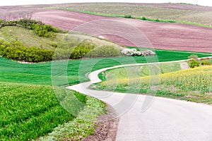 Spectacular landscape with wavy moravian hills and car on asphal