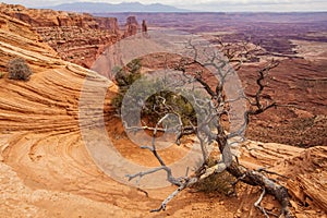 Spectacular landscapes of Canyonlands National park in Utah, USA