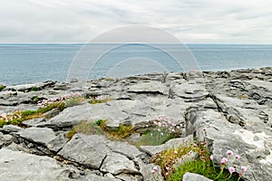 Spectacular misty landscape in the Burren region of County Clare, Ireland. Exposed karst limestone bedrock at the Burren National