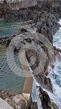 Spectacular natural swimming pools in Porto Moniz, Madeira