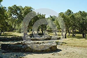 The spectacular Nuragic Complex of Romanzesu immersed in cork woods. Province of Nuoro, Sardinia. Italy