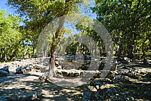 The spectacular Nuragic Complex of Romanzesu immersed in cork woods. Province of Nuoro, Sardinia. Italy