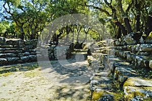 The spectacular Nuragic Complex of Romanzesu immersed in cork woods. Province of Nuoro, Sardinia. Italy