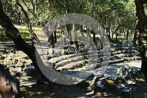 The spectacular Nuragic Complex of Romanzesu immersed in cork woods. Province of Nuoro, Sardinia. Italy