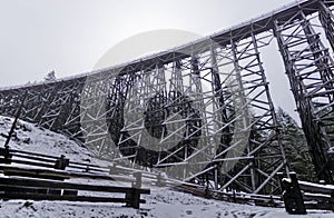 The spectacular old Koksilah Trestle section view in snowy day