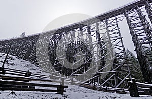 The spectacular old Koksilah Trestle section view in snowy day photo