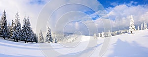 Spectacular panorama is opened on mountains, trees covered with white snow, lawn and blue sky with clouds.