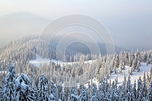 Spectacular panorama is opened on mountains, trees covered with white snow, lawn and blue sky with clouds.