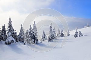 Spectacular panorama is opened on mountains, trees covered with white snow, lawn and blue sky with clouds.